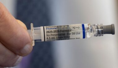 Long Island flu cases double
