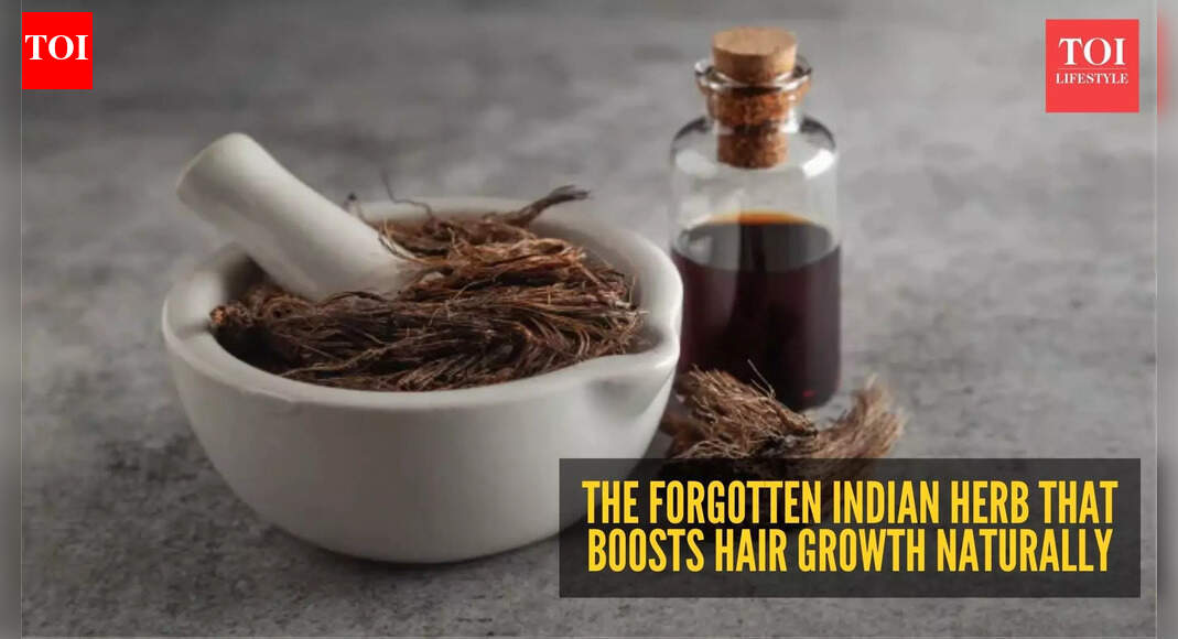 Why Jatamansi oil is India’s most underrated herb for fast hair growth