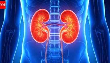 Reverse kidney damage: A breakthrough treatment that may transform kidney treatment |