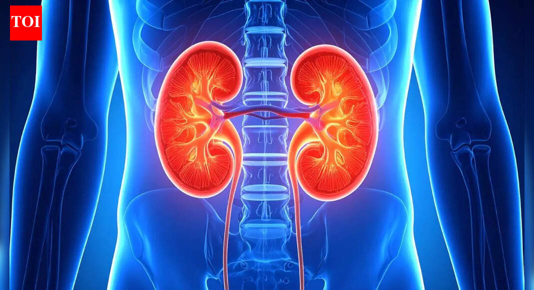 Reverse kidney damage: A breakthrough treatment that may transform kidney treatment |
