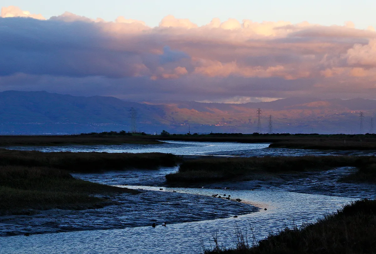 Guest Opinion: Are we being fooled by light pollution fears?