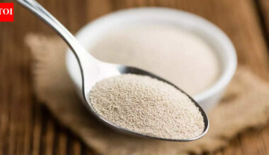 Can nutritional yeast fix your vitamin B12 deficiency naturally? Experts weigh in |