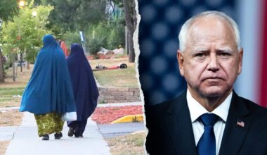 Fear of being called 'racist' was key factor in Minnesota’s fraud scandal, expert reveals