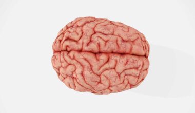 Project Metis to position Houston region as brain health hub