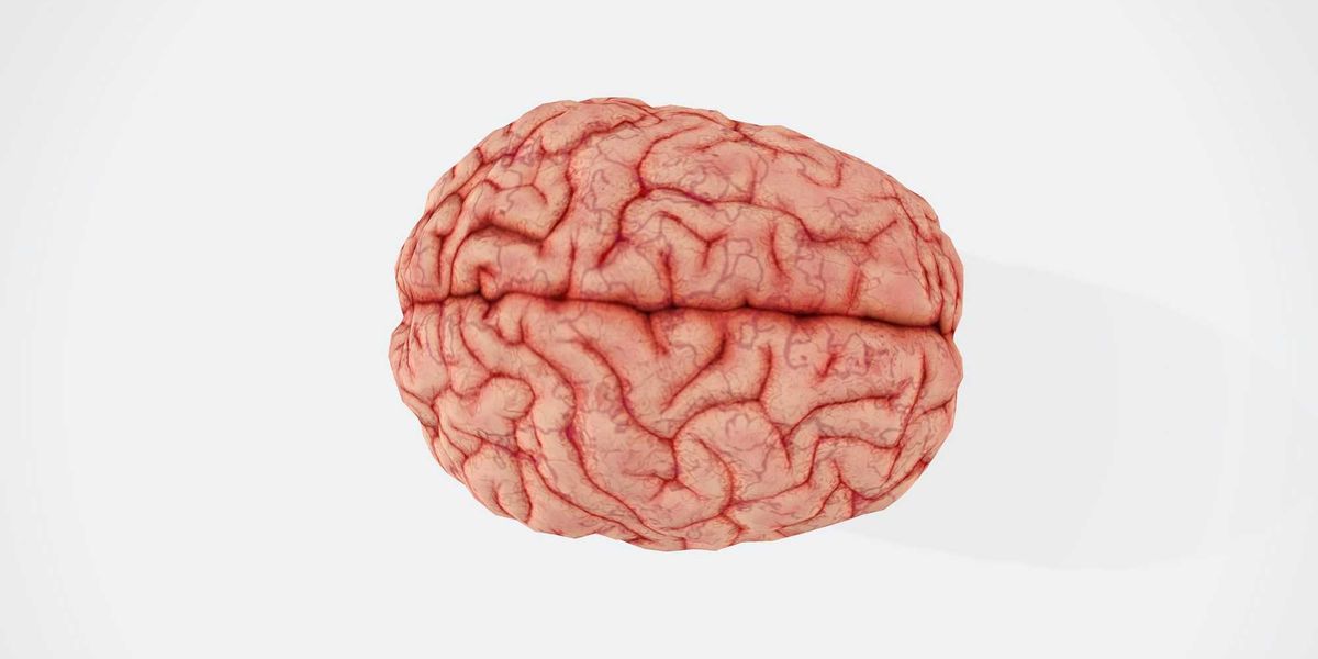 Project Metis to position Houston region as brain health hub