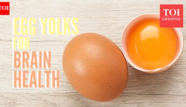 Egg yolk contains rare brain nutrients