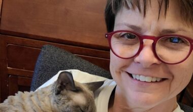 'Marvelous Mrs. Maisel' actress Wenne Alton Davis dies in NYC car crash at 60