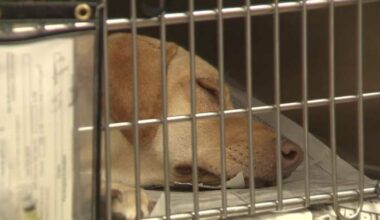 San Antonio ACS gets $15.3M expansion