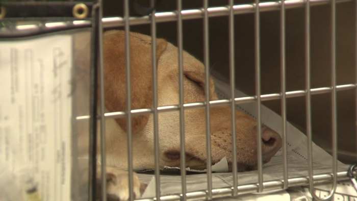 San Antonio ACS gets $15.3M expansion