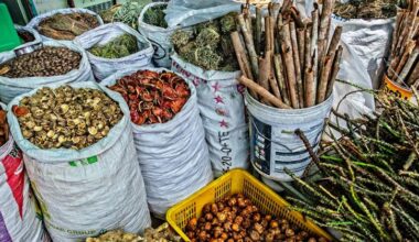 Traditional medicine use is now a global reality: WHO