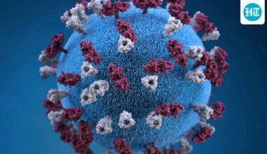 Measles cases surge in US: Doctors explain how it spreads, symptoms to watch for and prevention tips to stay protected