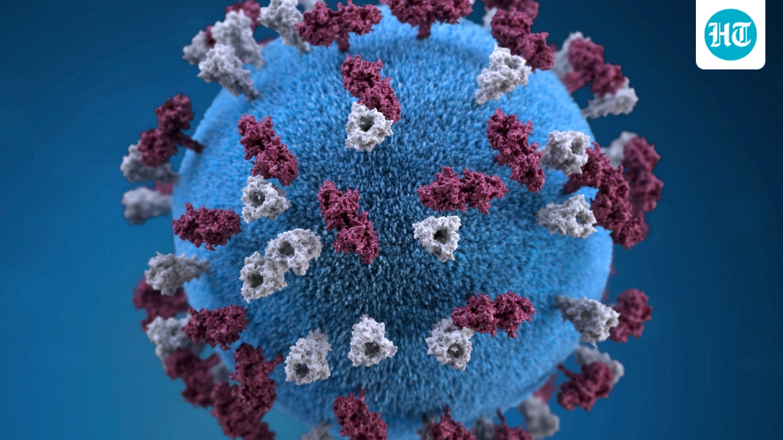 Measles cases surge in US: Doctors explain how it spreads, symptoms to watch for and prevention tips to stay protected