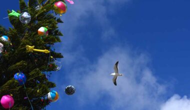 Sunny skies now, but Santa might bring rain to San Diego County