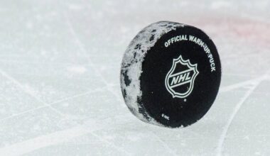 NHL logo on puck