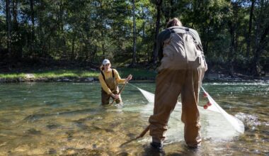 U.S. Fish and Wildlife sees nearly 20% drop in staff since Trump took office