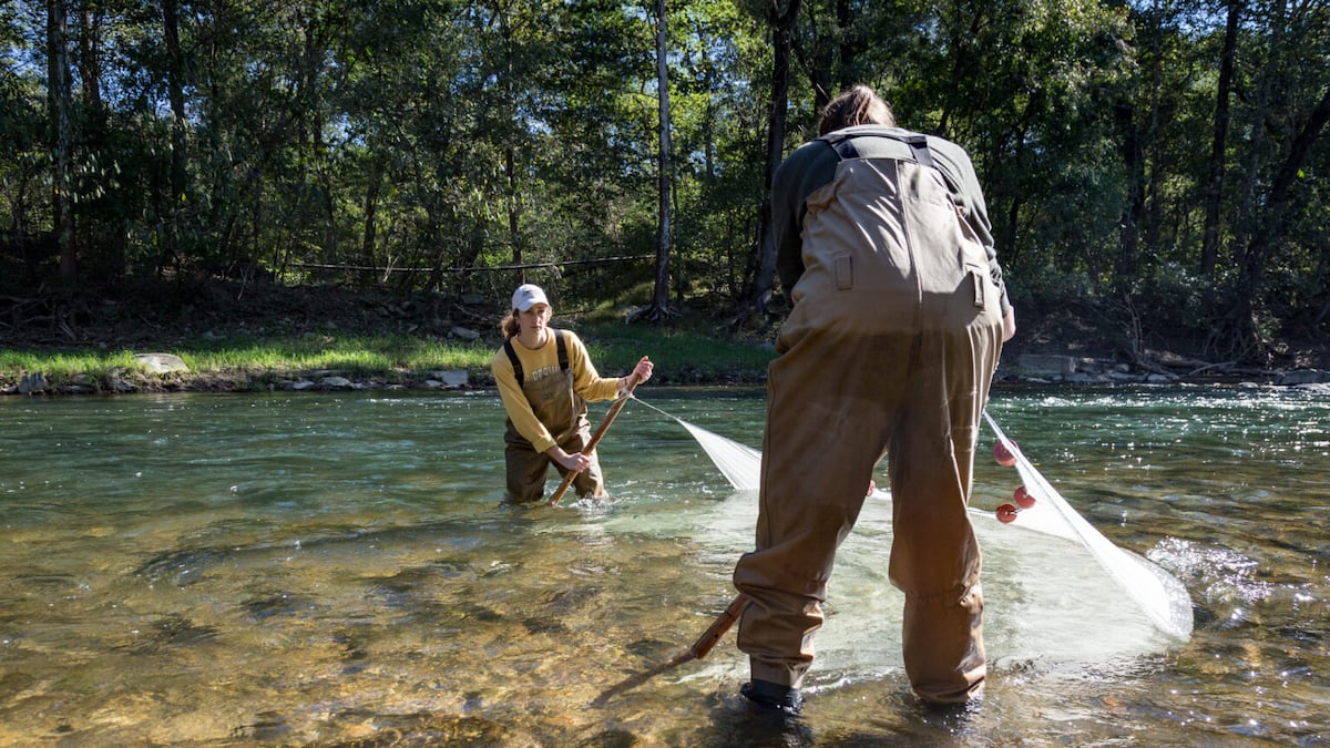 U.S. Fish and Wildlife sees nearly 20% drop in staff since Trump took office