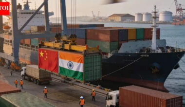 Boom or skewed spike? India’s exports to China jump 90% - but why there is little reason to cheer