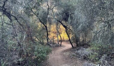 Exploring the canyons and trails of the Del Mar Mesa Preserve – San Diego Union-Tribune