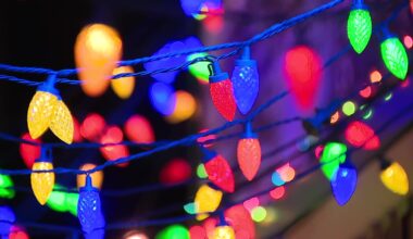 Where to find the best Christmas lights in Dallas-Fort Worth