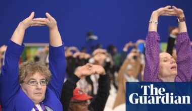 ‘A potential treasure trove’: World Health Organization to explore benefits of traditional medicines | Global health