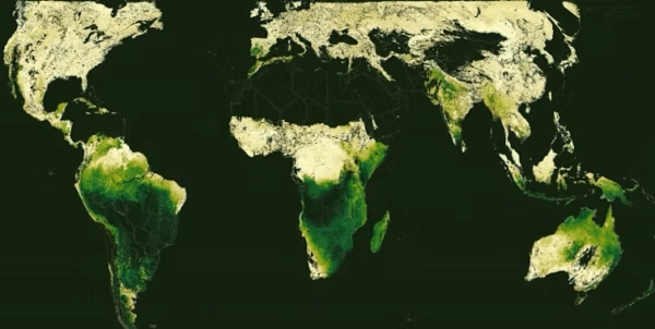The average seasonal growth cycles of Earth's land-based ecosystems, estimated from 20 years of satellite imagery. (Terasaki Hart et al., Nature, 2025)