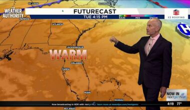 It's beginning to feel a lot like...spring