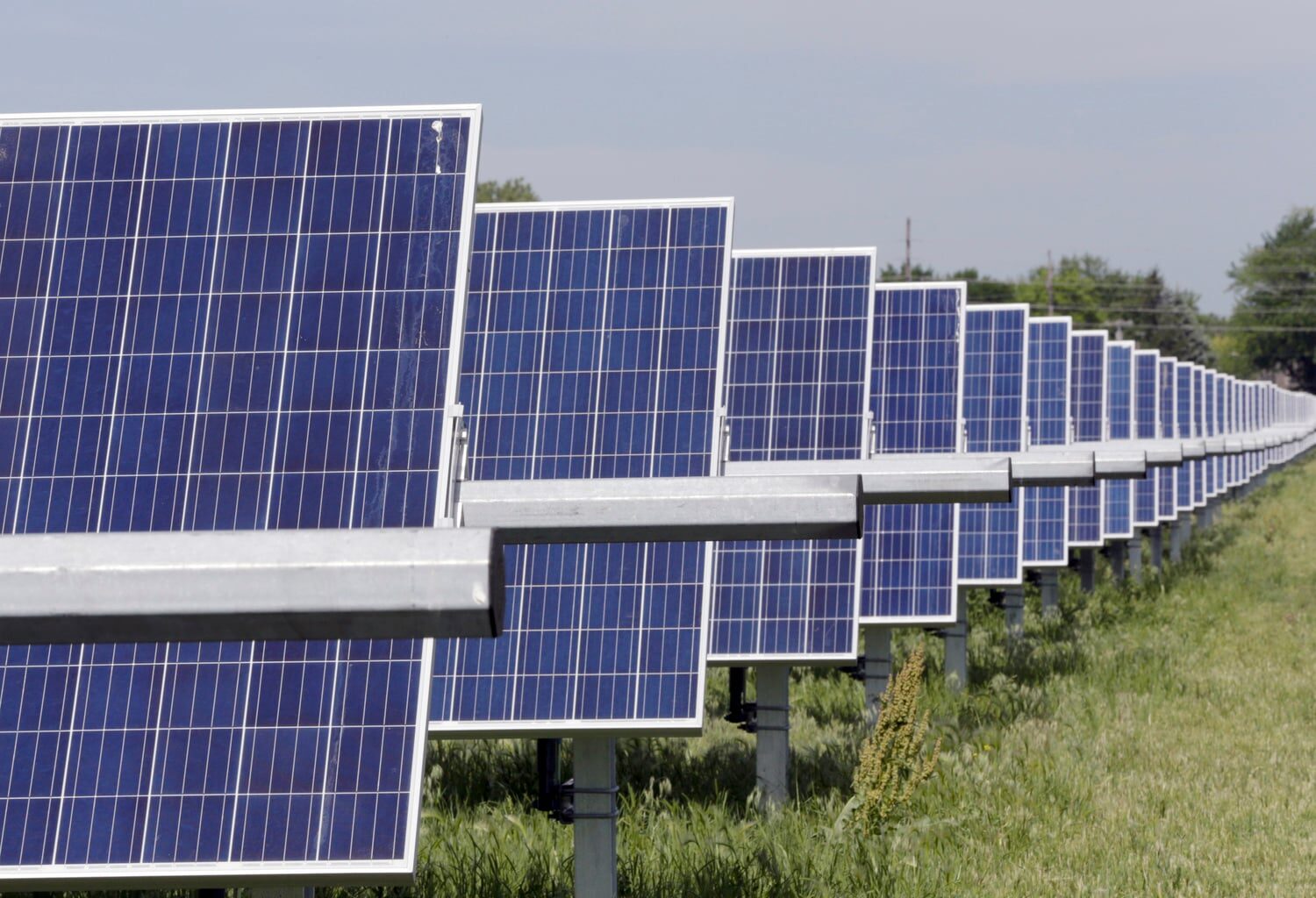 (AP Photo/Nati Harnik)