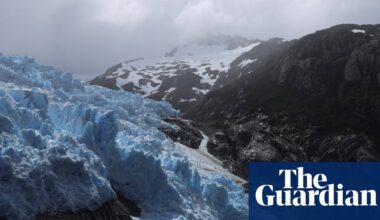 ‘It’s the wildest place I have walked’: new national park will join up Chile’s 2,800km wildlife corridor | Chile