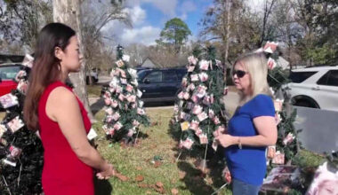 Angleton woman honors drunk driving victims with Christmas Trees of Angels