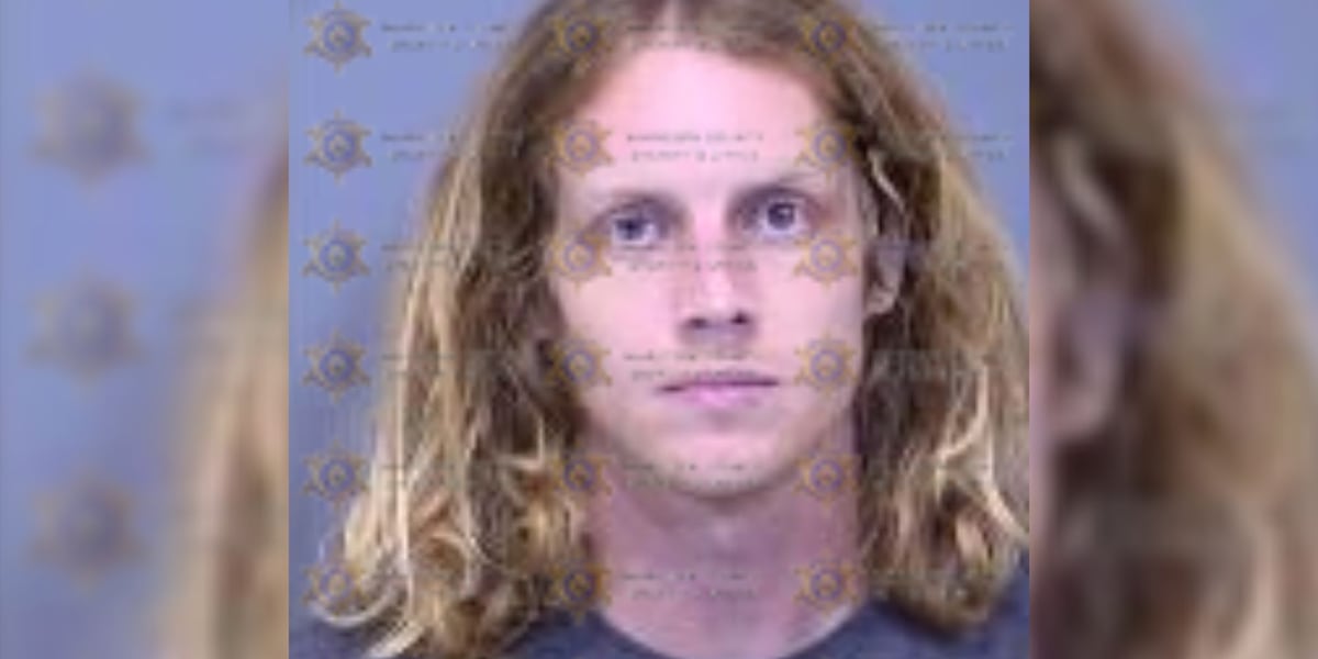 Man accused of stealing power tools from 15 Home Depots across Phoenix-area