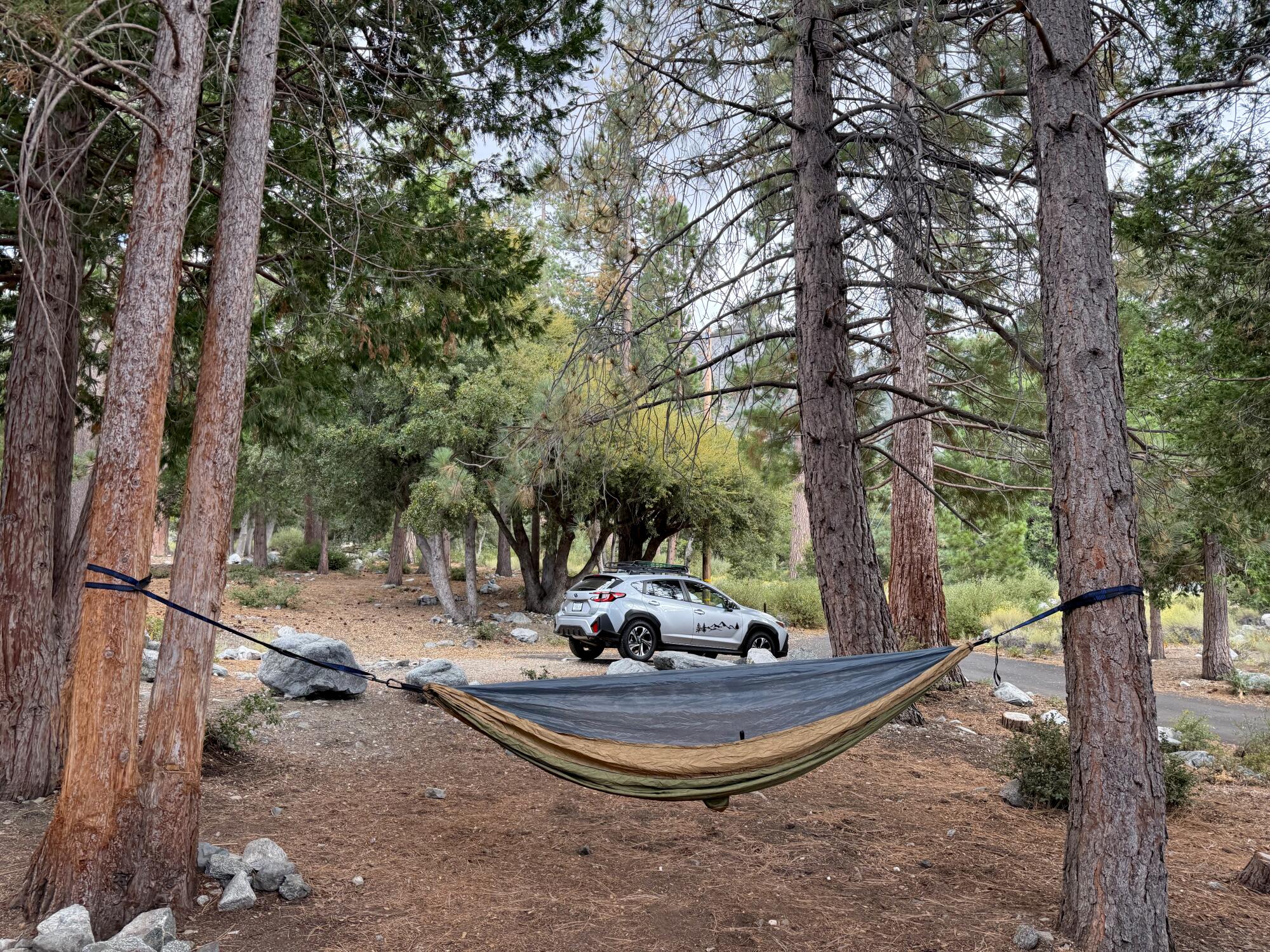 A hammock set up between two trees at Crystal Lake Campground.