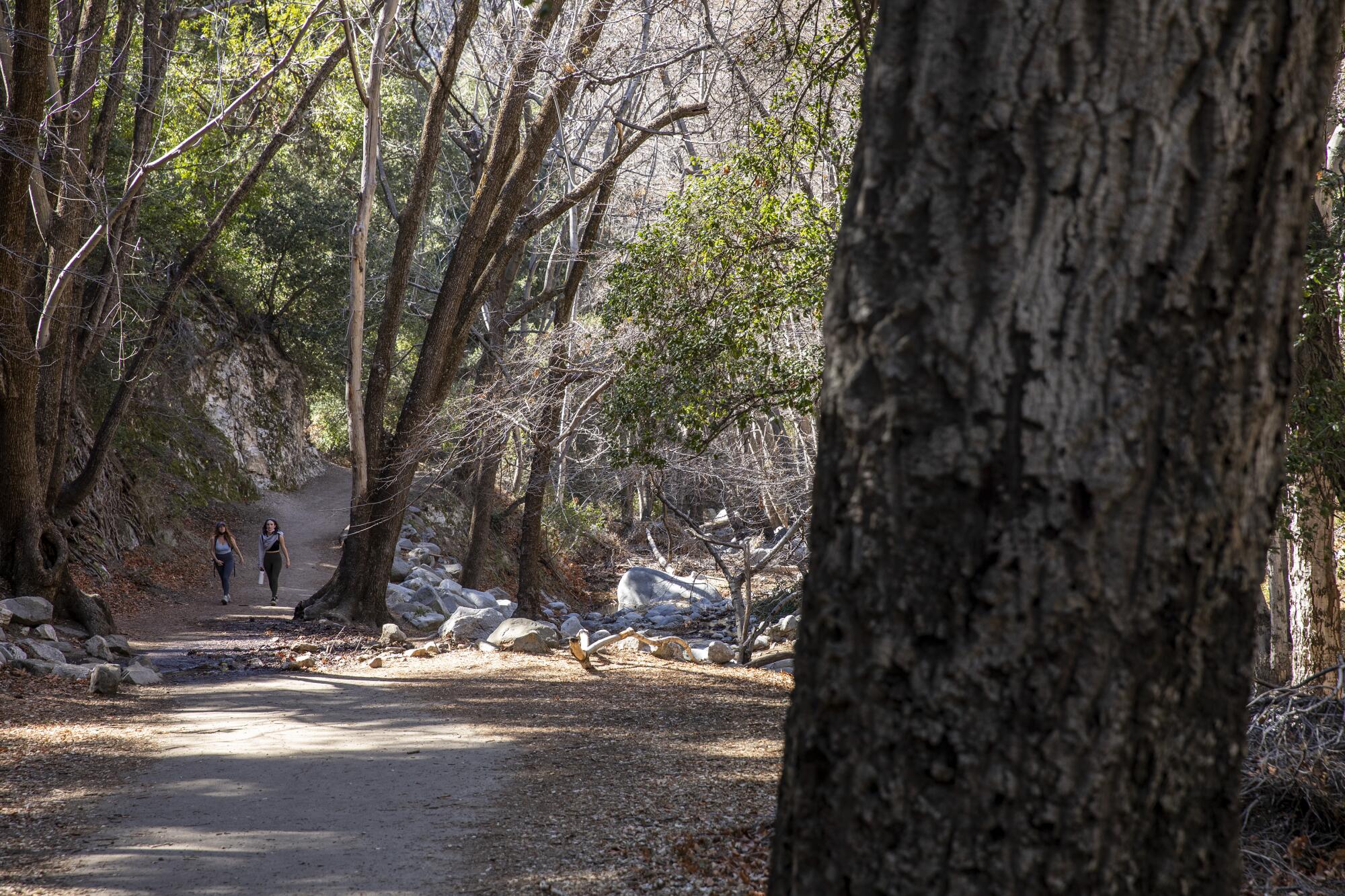 Hikers on the trail to Switzer Falls.