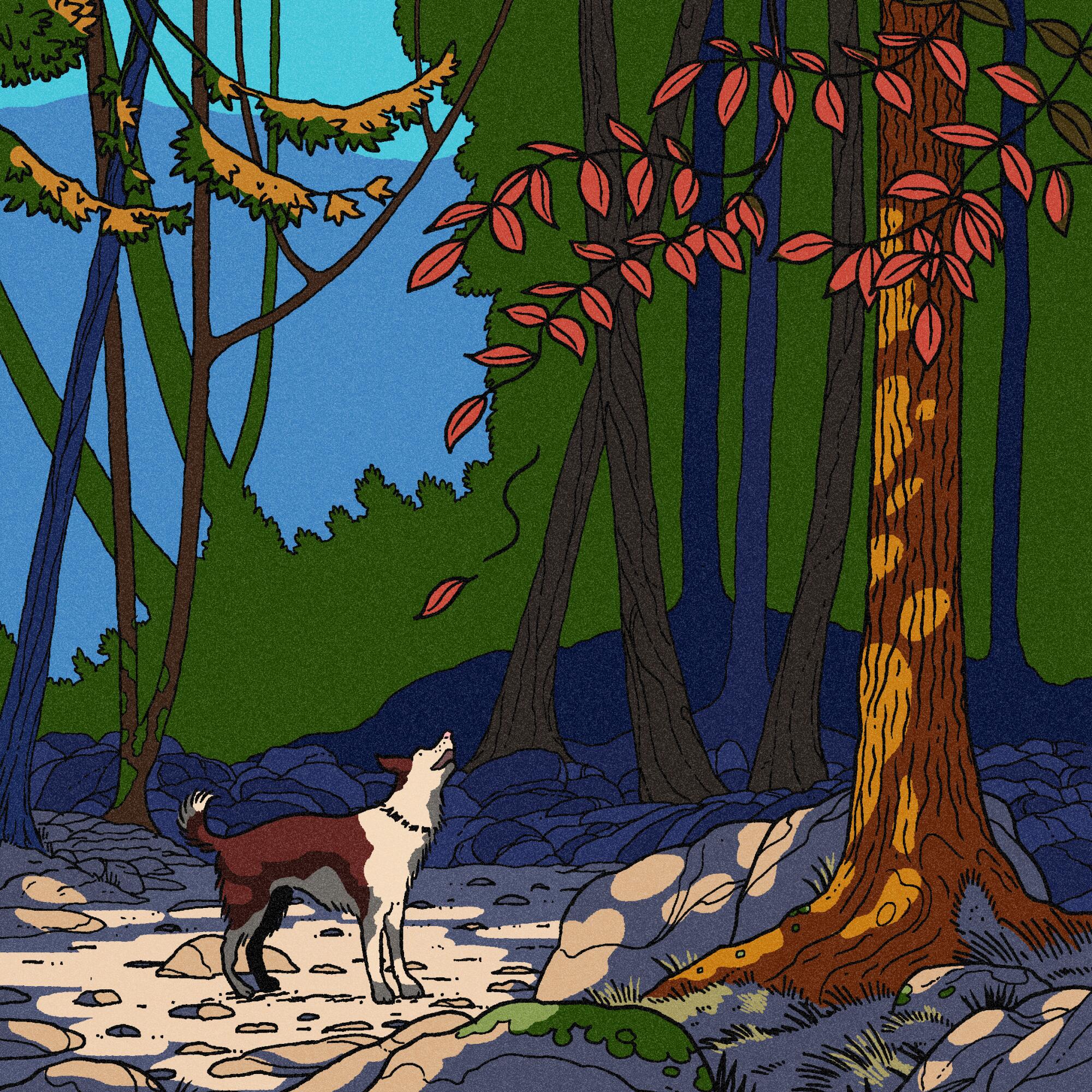 Forest scene illustration with of a dog looking at colorful fall leaves