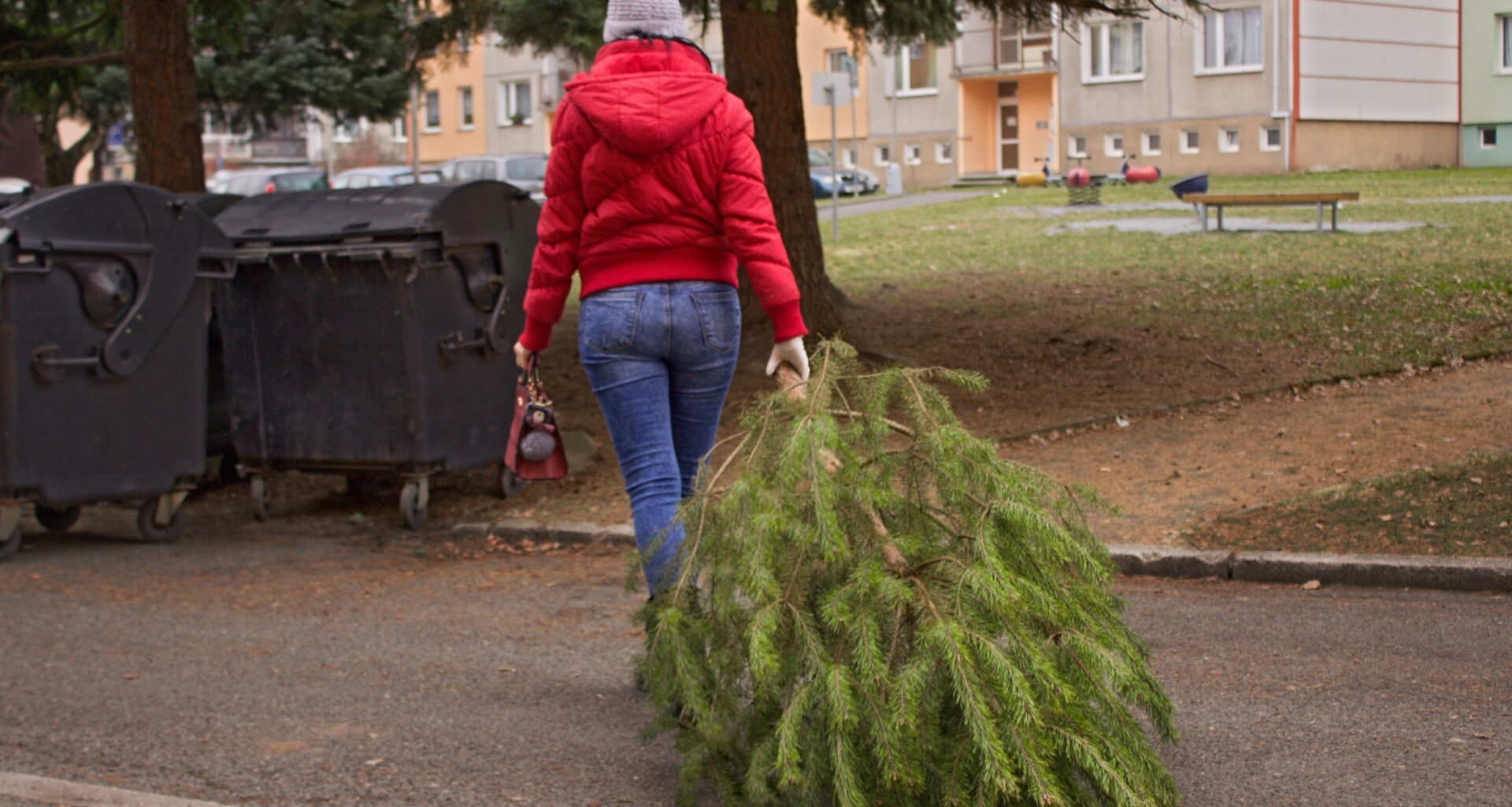 Chicago Christmas Tree Recycling 2026: Dates, locations and map