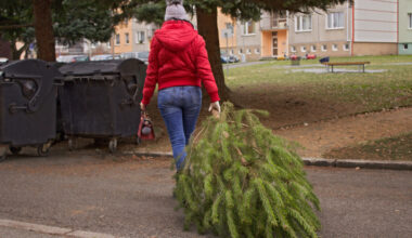 Chicago Christmas Tree Recycling 2026: Dates, locations and map