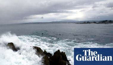 Body of triathlete apparently killed by shark found on California beach | California