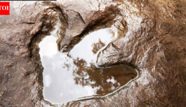 Scientists found more than 16,000 dinosaur footprints underwater in Bolivia |