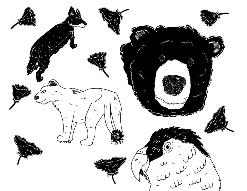 A black and white illustration of a coyote, bear, mountain lion, and parrot, along with poppies sprinkled around them.