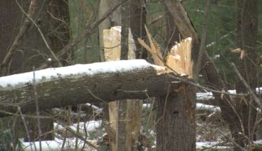 Peak wind gusts around New England and New York