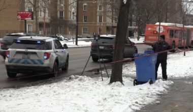 Chicago crash: CTA bus hits, kills woman on South Shore Drive, CPD says
