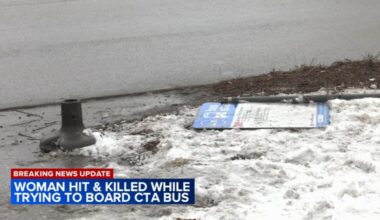 Chicago crash: Woman struck, killed by CTA bus in South Shore Identified as Tracy Frasure