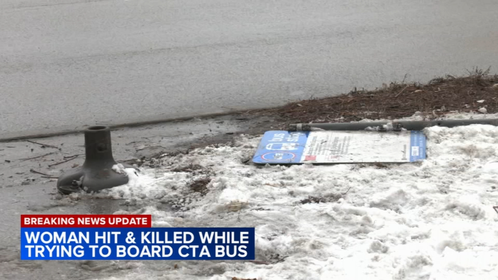 Chicago crash: Woman struck, killed by CTA bus in South Shore Identified as Tracy Frasure