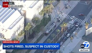 Woman in custody after allegedly firing gun into air outside the Los Angeles County Museum of Art