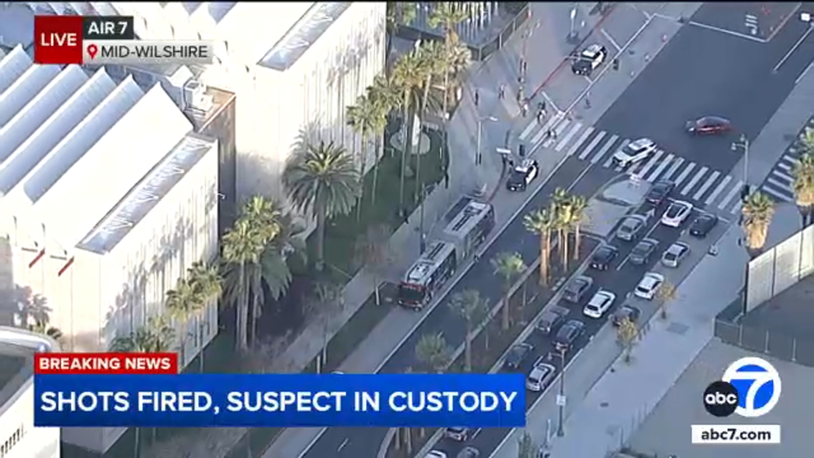 Woman in custody after allegedly firing gun into air outside the Los Angeles County Museum of Art