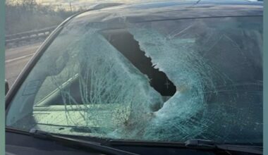 Chicago crash: Woman injured after concrete crashes through windshield on I-55, daughter says: 'Just horrifying'