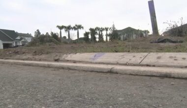 Golf cart accident death: Angelo Theodosiou charged in Jacksonville, Florida DUI crash that killed wife Christina Theodosiou