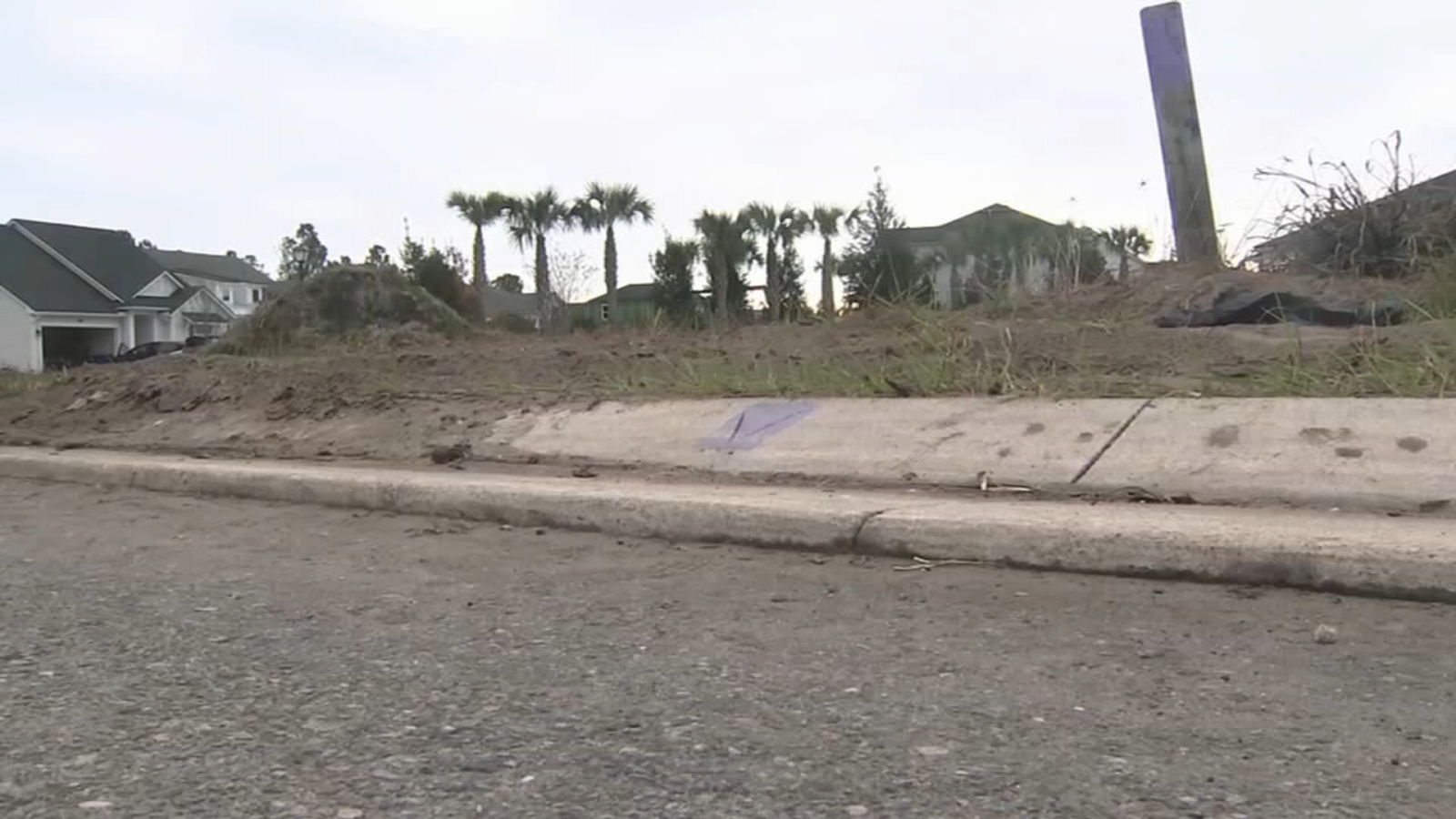 Golf cart accident death: Angelo Theodosiou charged in Jacksonville, Florida DUI crash that killed wife Christina Theodosiou