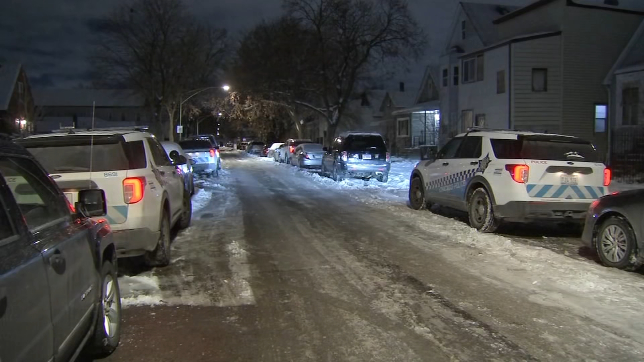 A woman was shot to death in a domestic disturbance on Monday, Chicago police said.