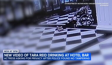 Tara Reid Chicago news: Video shows 'American Pie' actress at Rosemont hotel bar, falling from wheelchair before taken to hospital
