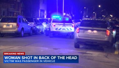 Chicago shooting: Woman shot, critically injured while inside vehicle on West 23rd Place in Little Village, police say